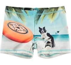 Norton Placed Swimwear